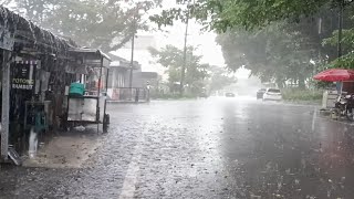 Walking in Super Heavy Rain and Strong Winds in Indonesian Mountain Village Life