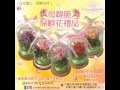 🌹preserved flower保鮮花系列～母親節保鮮花小鳥瓶