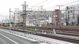 JR貨物 EF65 2101号機が牽引する5087ﾚ（H26.9.20）