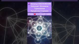 🌀Матрица ОМОЛОЖЕНИЯ - Слушать 5 Мин | ✅Подпишись #медитация