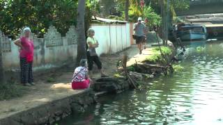 The Vembanad Ferry