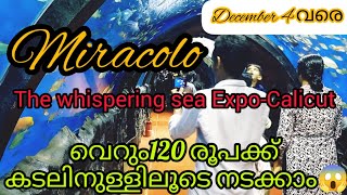 😱120 രൂപക്ക് കടലിനുള്ളിലൂടെ നടക്കാം miraclo 2022❤ Kozhikode beach 👍