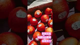 美國最受歡迎品種『有機加拉(#Gala)蘋果🍎』，新鮮抵台!!! 甜度高、肉質細、清脆多汁，微酸中帶有獨特香氣，新鮮直接吃、熬成蘋果醬都美味!!!