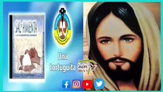 🕊️❤️LOS PEREGRINOS DEL EVANGELIO❤️🕊️ Sal y Pimienta. Una Tortuguita.