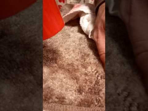 Candle wax removal from carpets using a hair dryer. Candle wax removal from carpets using a hair dryer.