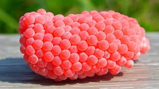 ASMR Crushed Snail Eggs | Apple Snail Eggs #satisfying #relaxing #snail #8