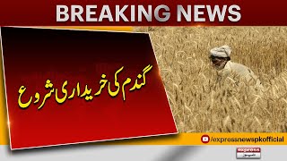 Wheat Price In Pakistan 2024? | Punjab Govt Ready to Purchase Wheat | Pakistan News | Latest News