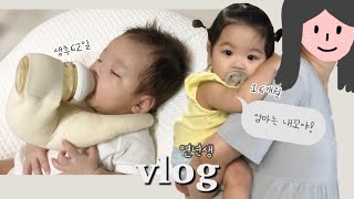 VLOG | 연년생브이로그 | 육아하고 집안일하고.. (반복) | 첫째는 엄마껌딱지, 둘째는 먹잠먹잠 | 신생아돌보기👶🏻