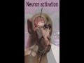 neuron activation meme l muse dash shorts