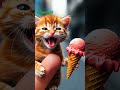 Escream dan kucing #cute #cat #catlover