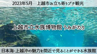 【新潟県上越市】イワシの群泳が最高♪上越市立水族博物館 うみがたり Joetsu City Aquatic Museum