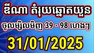 តំរុយឆ្នោតយួន | ថ្ងៃទី 31/01/2025 | ឌីណាឆ្នោតយួន