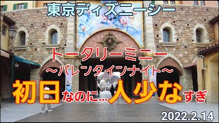 東京ディズニーシー/トータリーミニーバレンタインナイト初日2022.2.14前編