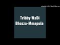 Tribby WaDi Bhozza-Mmapula (Original Audio)