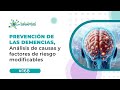 Prevención de las demencias, análisis de causas y factores de riesgo modificables