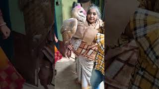 লক্ষ্মী পেঁচা আমাদের বাড়িতে এসেছে# পেঁচা#shorts