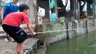 Thử Thách câu cá cùng con trai và cái kết #xuhuong #shortvideos #memes #giaitri