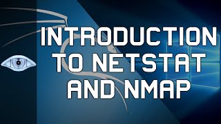 Introduction to Netstat, Nmap, and Port Scanning