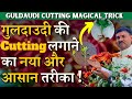 गुलदाउदी की Cutting लगाने का नया और आसान तरीका || Guldaudi Cutting magical Trick || A-Z TIPS