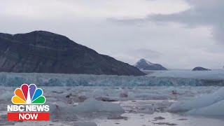 The Issues: 2020 Candidates On Climate Change | NBC News NOW