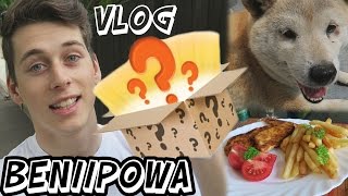 BENIIPOWA - VLOG - Csomag, Susu, Videók!