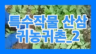 귀농귀촌  방문 산삼채취