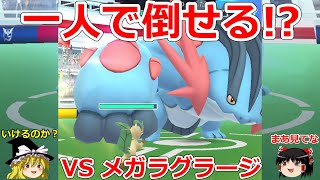 【ポケモンGO】ぼっちでも倒せる⁉️メガラグラージのソロレイドに挑戦‼