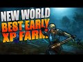 THE BEST NEW WORLD XP FARM! Best Early Game XP, Gold, and Profession XP Farm! | New World!