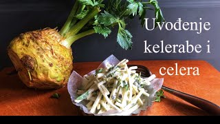 keleraba||celer||uvodjenje cvrste hrane