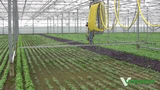 Visser Horti Systems -  Irrigation Promo