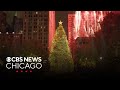 Chicago lights up Millennium Park Christmas tree