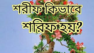 শরীফ কিভাবে শরিফা হয়??