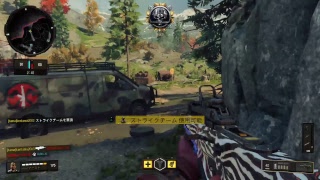 Bo4やってく