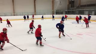 Skills Aquisition - Unopposed Puckhandling - Chaos Stickhandling W FWD \u0026 BKWD to FWD Pivots \u0026 Turns