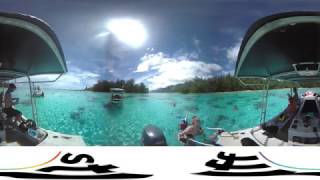 Swimming with rays in Moorea in 360