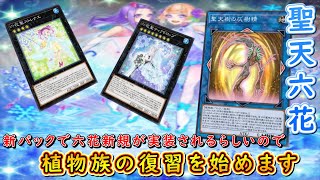 【遊戯王マスターデュエル】新パックに六花新規が入っているという情報を得たので、ここらで植物族を復習したいと思います。