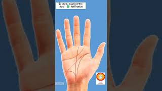 Palmistry II Shorts 018,Jathakam in Telugu ,chethi,Hasta rekhalu,palm reading , jyothisham,astrology