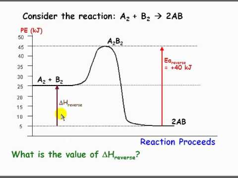 Diagram Of Potential Energy