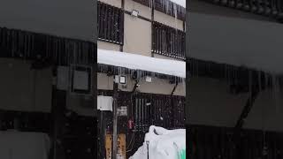 京極・名水うどん野々傘さん｜吹雪でも食べに行きたい美味しいうどん【北海道グルメ】 #Shorts