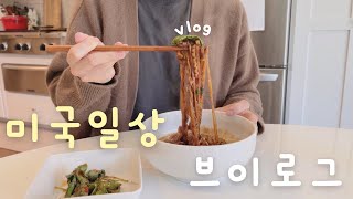 오랜만에 올리는 미국 일상 브이로그🙋🏻‍♀️ 보고싶었어요 여러분🥲