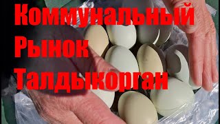 Коммунальный рынок (22.02.2025г) Талдыкорган