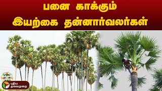 பனை காக்கும்  இயற்கை தன்னார்வலர்கள் | Nammal Mudiyum | PTT