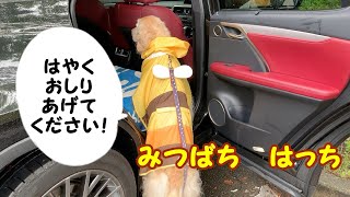 Playtube Pk Ultimate Video Sharing Website