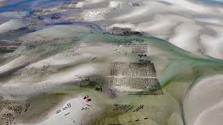 Flight over oyster beds at low tide in East Sandwich, Massachusetts