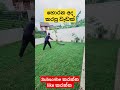 තණකොළ අල්ලා දිමේ සේවය gardenservices landscapegrass ගෙවතු malaysian grass