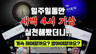 새벽4시 기상, 일주일 솔직 후기!! 미라클모닝 계속 해야될까요?? || 아침형인간 프로젝트