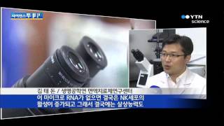 암과 염증질환 치료제 단서 발굴 / YTN 사이언스