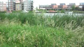 SDC12200.AVI
