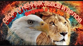 Сбор львов и орлов 19.07.2021