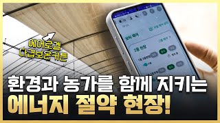 [황금나침반] 환경도 지키고 농가도 살리는 에너지 절약 현장 속으로! / YTN 사이언스